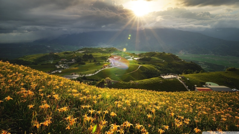 sky, nature, landscape, sunbeam, sunlight, environment, tranquil scene, mountain, scenics - nature, day, cloud - sky, flower, lens flare, sun, tranquility