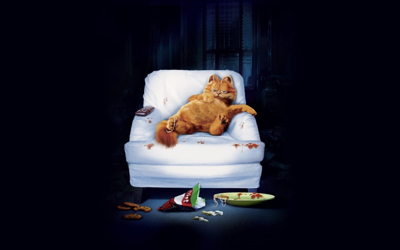 lazy, cat, cartoon, 1080P, garfield