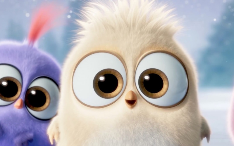 eyeball, mammal, close-up, cute, beige, creativity, one animal, hollywood, birds, representation, angry, Hollywood Movies, animal body part, focus on foreground