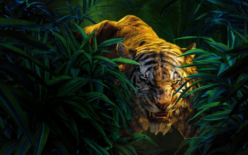 no people, illuminated, tiger, shere, beauty in nature, close-up, growth, grass, tree, animal, motion, plant, Hollywood Movies, illustration, night, khan