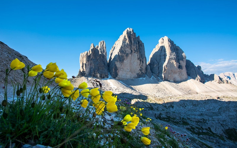 peaks, 1080P, yellow, lavaredo, landscape, dolomites, italy, three, hd, flowers, spring