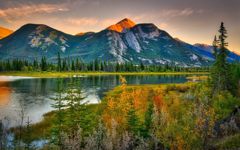  canada, rocky, pine, 1080P, contrast, high, river, forest, mountains, hd, beauties, landscape, natural