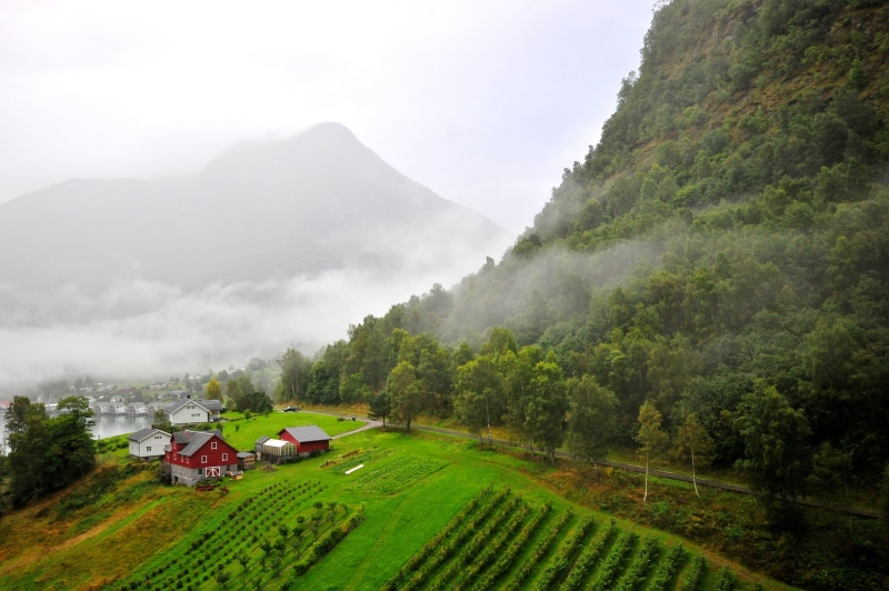 Farm House, green fields, Norwegian, Misty, hill, daytime, 2K, Red House, fog, green, Norway, outdoors, mountain, nature, landscape, rural Scene, forest