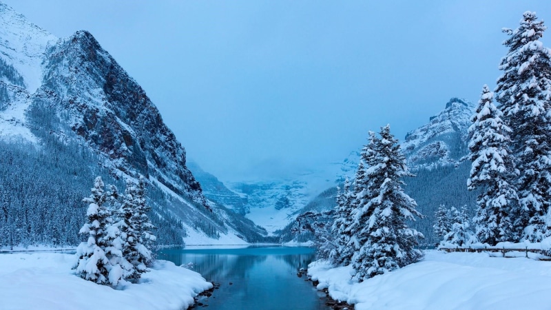 pine tree, tranquil scene, scenics - nature, freezing, tranquility, extreme weather, wilderness, water, mountain, 1080P, no people, canada, frost, national park