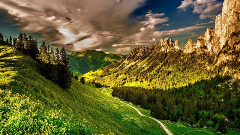 europe, alps, grass, grassland, nature, wilderness, pathway, switzerland, mountain, 4K, sky, freiburg kanton, mountain range, swiss alps, mount scenery