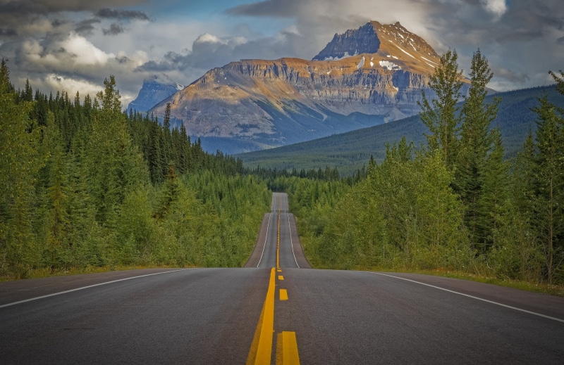Icefields Parkway, road, Rocky Mountains, forest, mountains, trees, Canada, 1080P