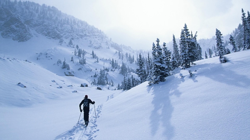 landscape, vacations, leisure activity, skiing, plant, ski holiday, adventure, nature, winter sport, mountaineering, sky, snowy, sport, nordic skiing, beauty in nature