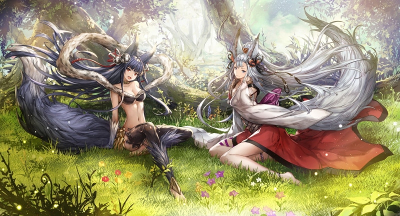 kitsunemimi, 1080P, Granblue Fantasy, fantasy art, Socie (Granblue Fantasy), Yuel (Granblue Fantasy), animal ears
