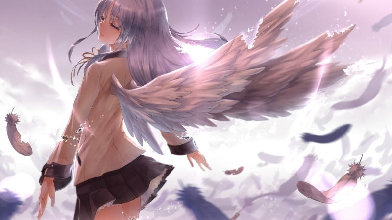 one person, fashion, young adult, female, anime, angel, sunlight, character, freedom, sky, outdoors, animal wildlife, flying, animals in the wild, Tachibana Kanade