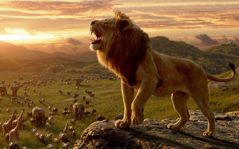 animals, lion, 1080P, sunset, giraffes, big cats, zebras, The Lion King, elephant, nature, digital art, roar