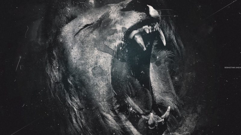 black and white, artwork, roar, 1080P, lions, hd, monochrome, animals