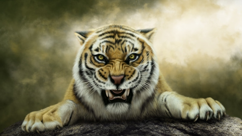 Roaring, Artwork, Tiger, 2K
