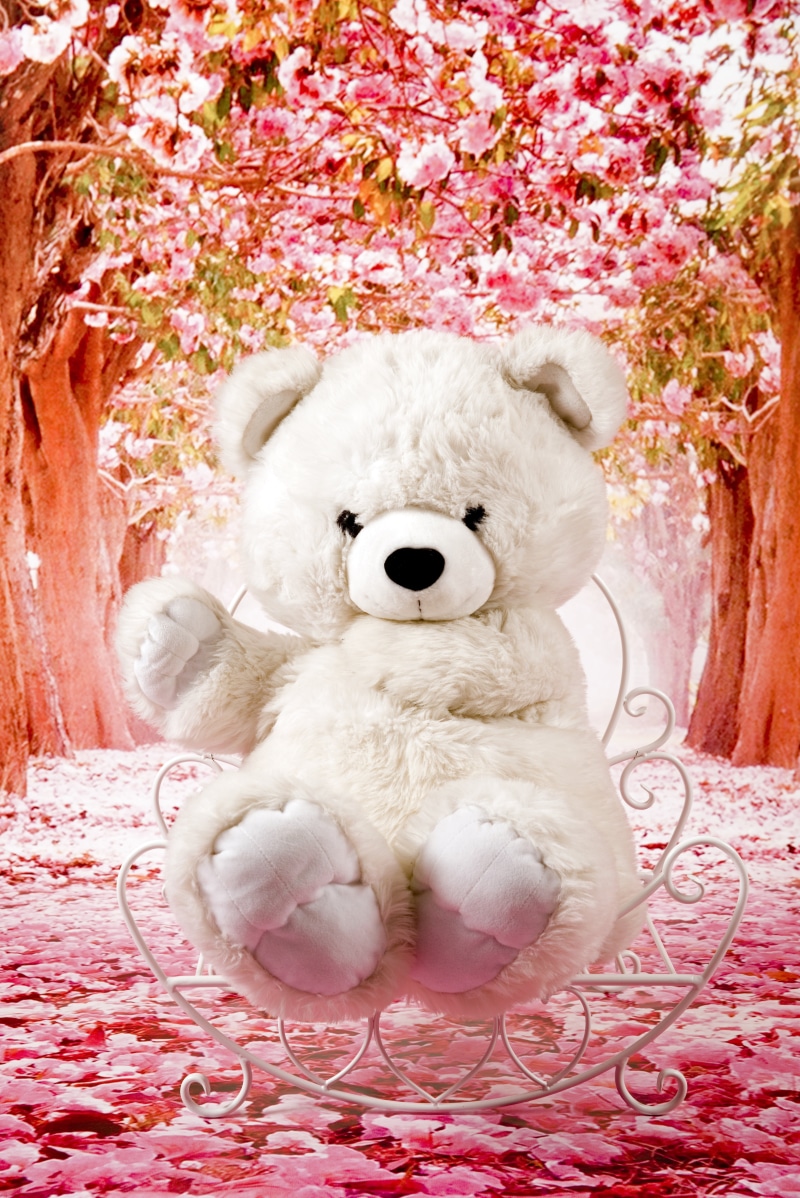 studio, teddy Bear, softness, plant, animal, 5K, bear, art and craft, representation, still life, pink color, the mascot, nature, animal themes, love