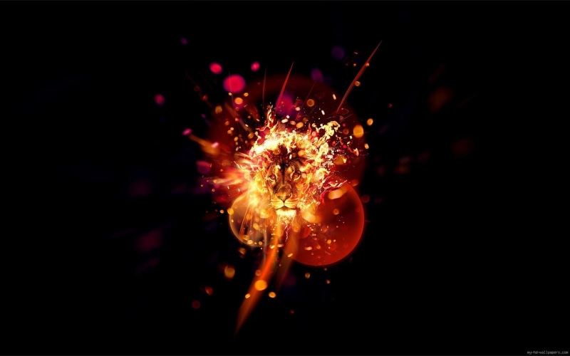 animal, lion, poster, fire, graphic, blazing, 720P, head