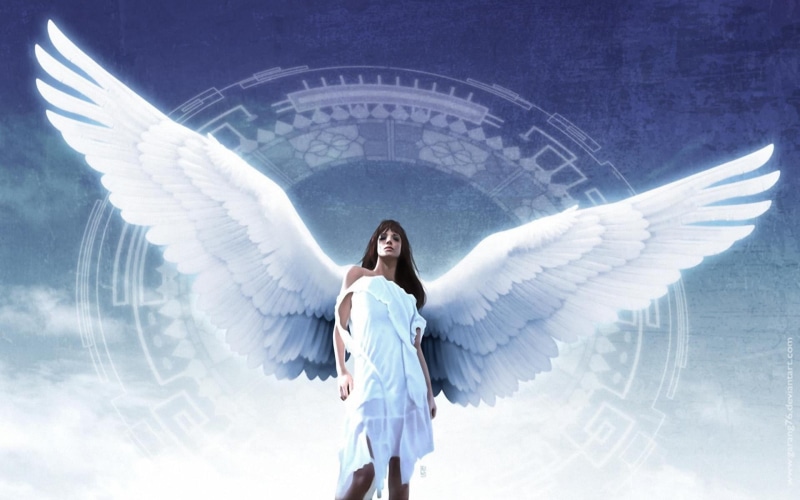 animal wing, white color, heaven, spirituality, 1080P, illustration, dressed, adult, serene people, beautiful woman, outdoors, young adult, front view
