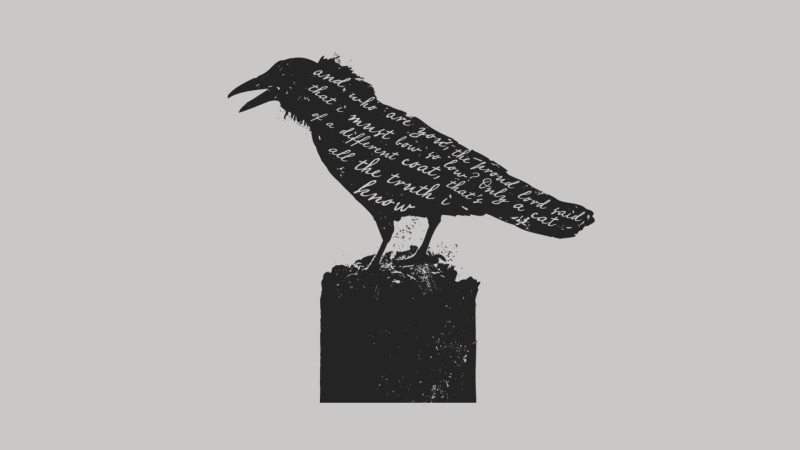 studio shot, 1080P, nature, bird, cut out, animal themes, raven, representation, animal, crow, gray, close-up, poem, animal representation, black, art and craft