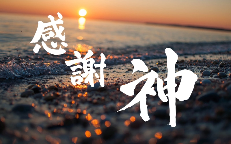 land, illuminated, flame, communication, character design, christmas, glowing, decoration, close-up, creativity, text, chinese classical, 1080P, nature