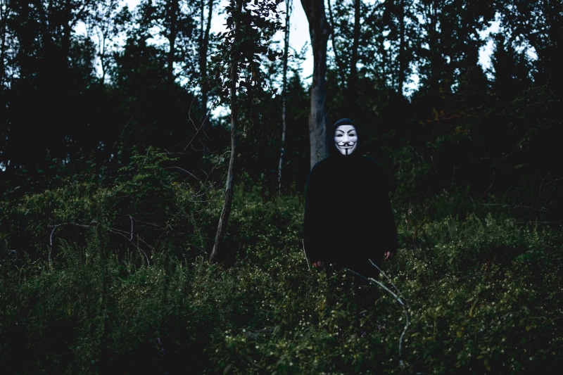 obscured face, front view, beautiful, adult, loneliness, outdoors, solitude, lifestyles, fawkes, sport, mystery, spooky, ghost, one Person, day, woodland
