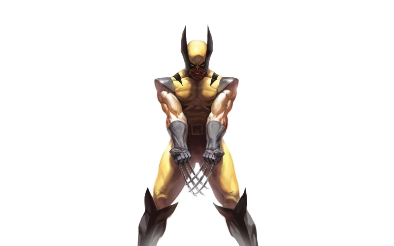 looking at camera, Wolverine, front view, three quarter length, portrait, fashion, simple background, comics, clear sky, x, obscured face, white background