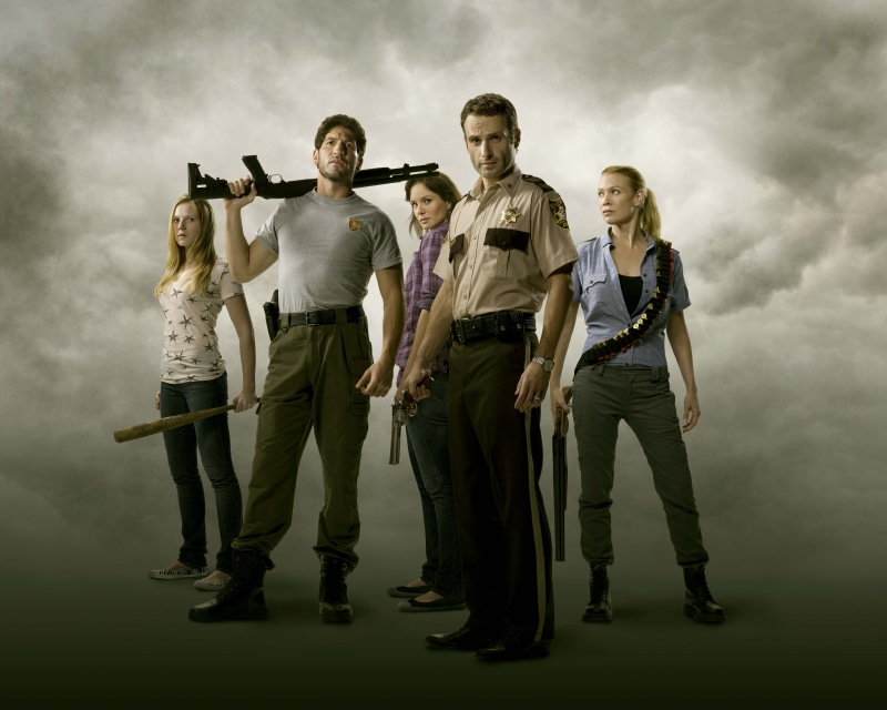 Jon Bernthal, movie, illustration, Sarah Wayne Callies, Andrew Lincoln, Laurie Holden, Emma Bell, The Walking Dead, 8K