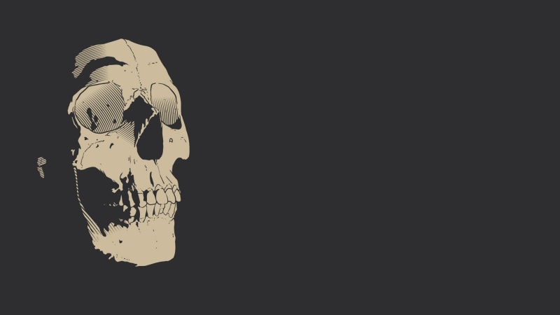 studio shot, cut out, 1080P, copy space, no people, skull, skeleton, indoors, still life, single object, representation, black background, minimalism