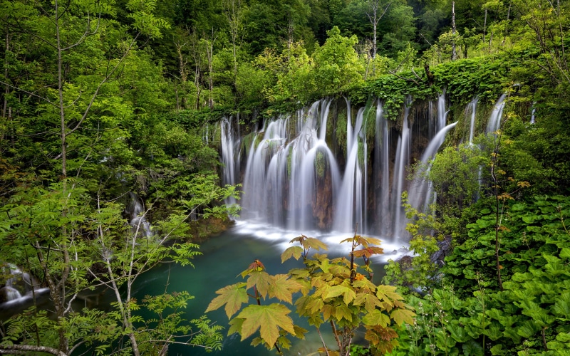 flowing water, landscape, non-urban scene, blurred motion, tree, lakes, flowing, falling water, forest, no people, plant, long exposure, growth