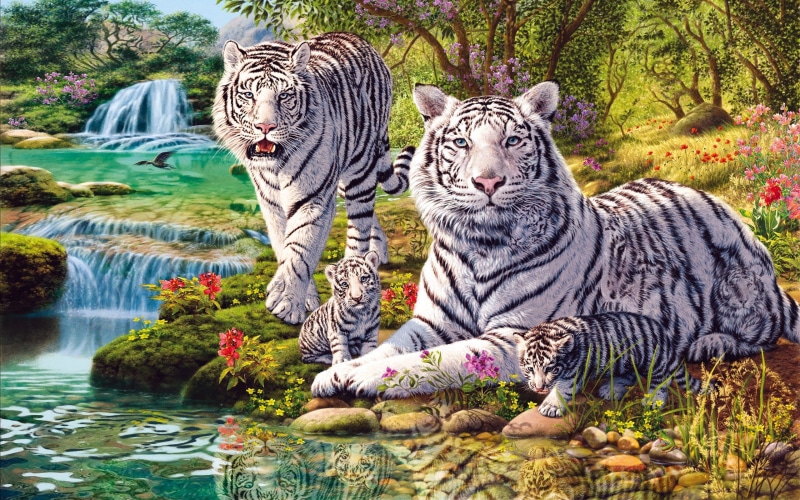 family, 2K, photo, nature, jungle, hd, white, tiger, flowers, waterfall, stepfather