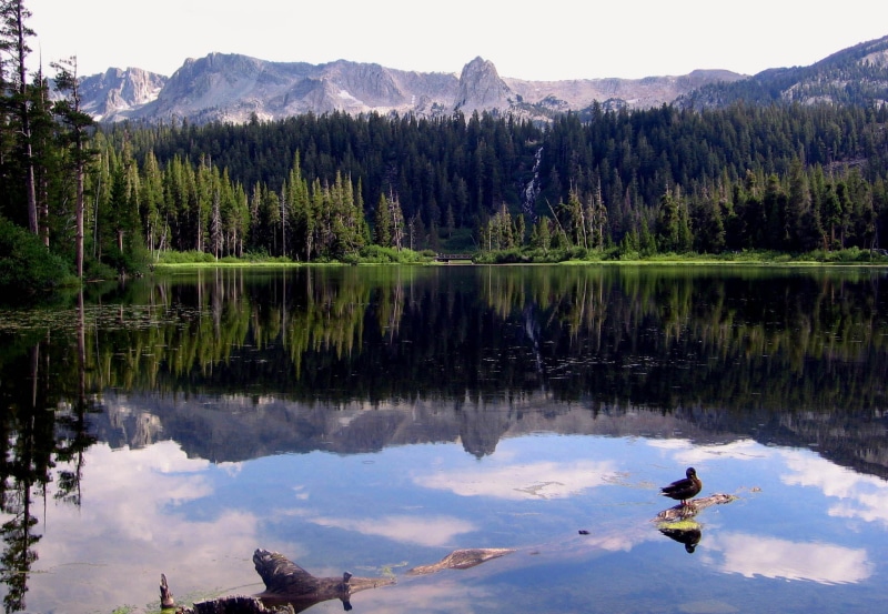 high sierras, sky, mountain, faves, pine, beauty In Nature, 1080P, Mammoth Lakes, reflection, mammoth, creation, near, twilight, fishing, tree, California