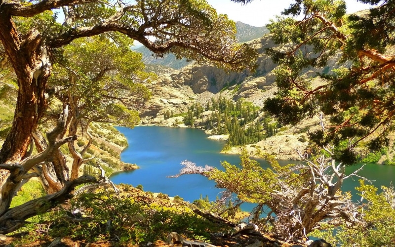 scenics - nature, lake, branch, beauty in nature, Sierra Nevada, California, land, nature, tranquil scene, trees, landscape, idyllic, plant, growth, non-urban scene