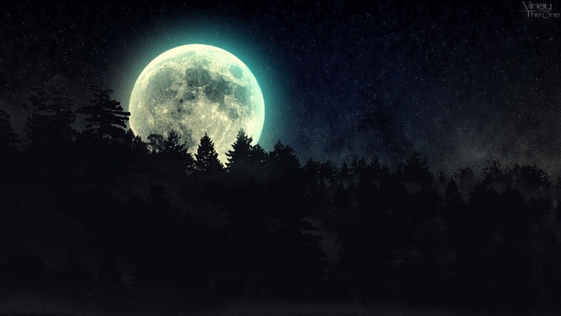 moon, forest, 1080P, trees, moonlight, hd, night, forests, stars