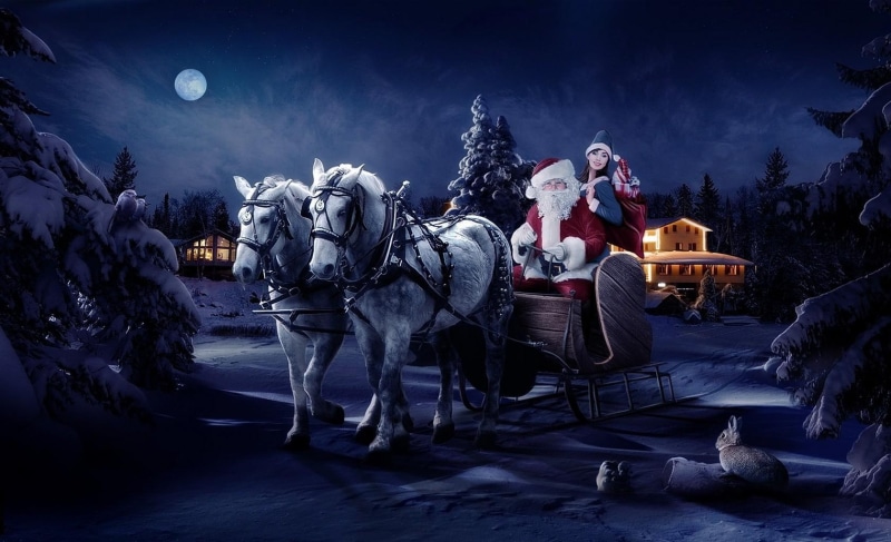 tree, gifts, santa claus, santa, claus, 720P, sleigh, christmas, girl, horse, night, bag
