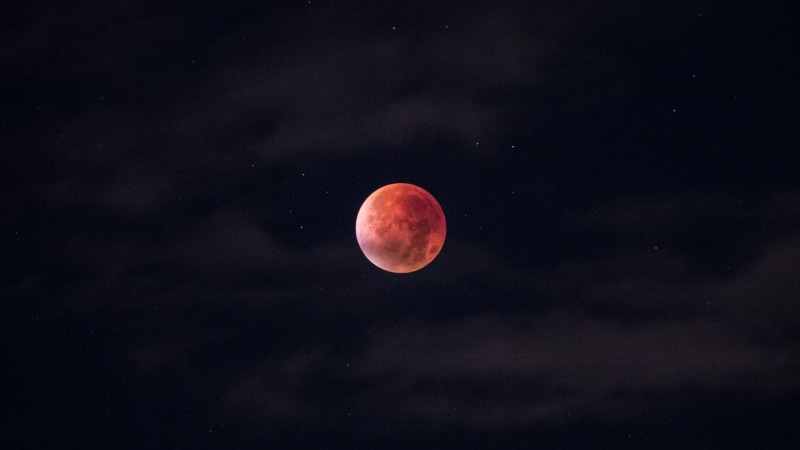 night, night sky, sky, full moon, moon, celestial event, nature, 1080P, stars, astronomical object, darkness, astronomy