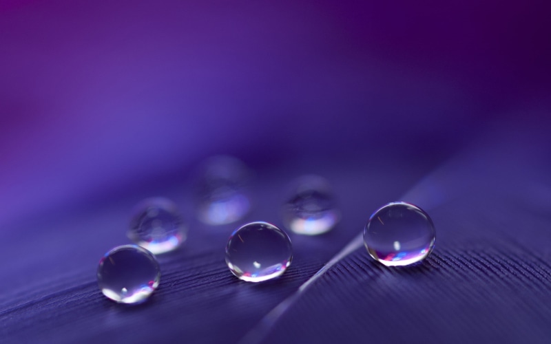 photo, clean, wet, freshness, choice, rain, macro, blue, dose, medicine, reflection, liquid, purple, dew, four objects, focus, still life, drop, colored background