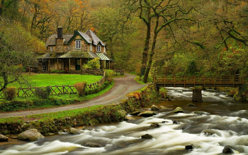 Spring, Forest, 1080P, House, Bridge, Trees, River, Park