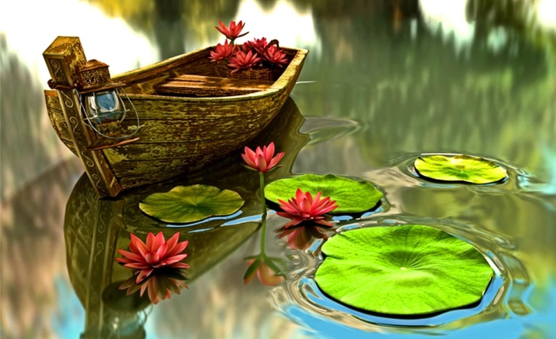 water, 2K, natu, water lilies, lily pond, calm, boat, wooden, reflection, tranquility, lilies, lily pads, pond