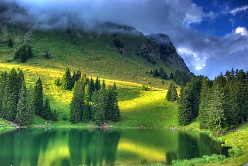 paradi, round, trees, water, quiet, lake, mist, greenery, 720P, nice, beautiful, lovely, place, hills, small, emerald, calm, pond, shore, slope