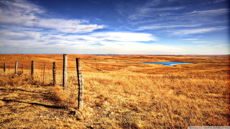 1080P, kansas, nature and landscapes, fields, flint, hill, fence, pond
