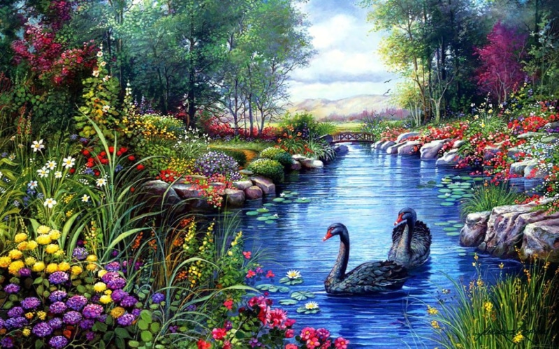 Swan, Spring, Flower, Artistic, Black Swan, Pond, Lake, 1080P