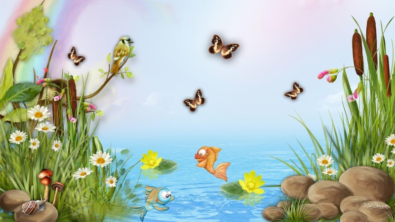 cute, daisies, rainbow, cat tails, 1080P, butterfli, water, flowers, spring, bird, summer, pond, rocks, lake