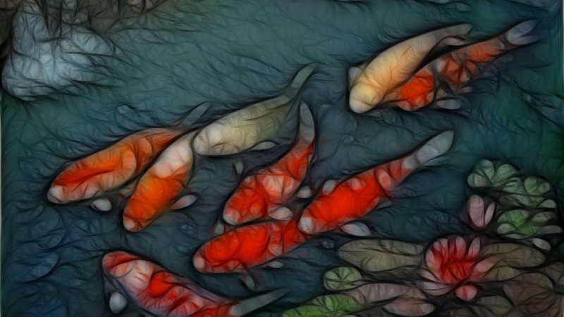 koi, fish, hd, fractal, 2K, digital/artwork