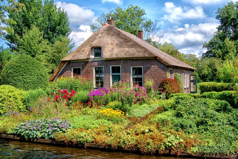 outdoors, holland, flower, village, architecture, countryside, green color, romance, plant, grass, building exterior, no people, wooden, residential district