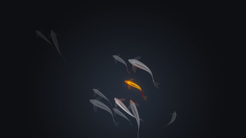 1080P, dark, byrotek, fish, koi
