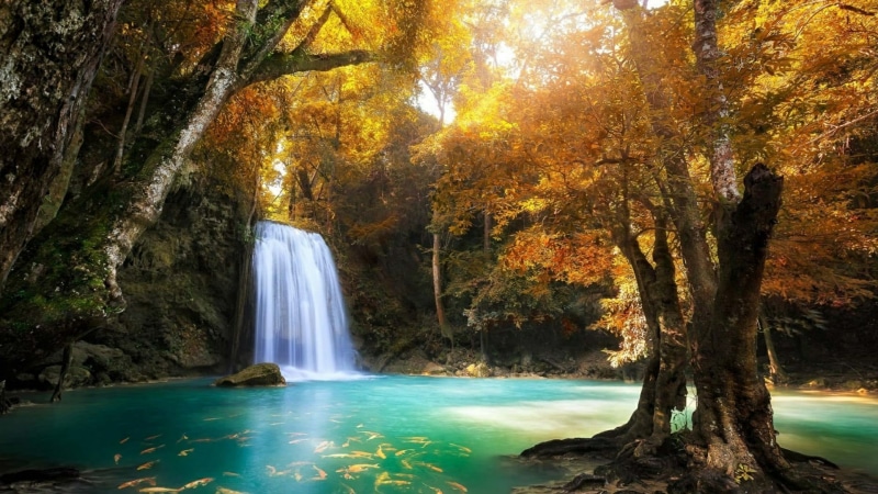 land, erawan falls, outdoors, flowing, vegetation, waterfall, thailand, autumn, tree, forest, erawan national park, beauty in nature, leaf, scenics - nature