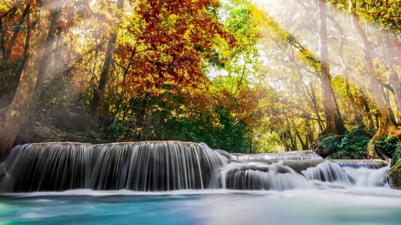 land, erawan national park, rainforest, motion, creek, outdoors, leaf, nature, falling water, scenics - nature, kanchanaburi, plant, power in nature, asia