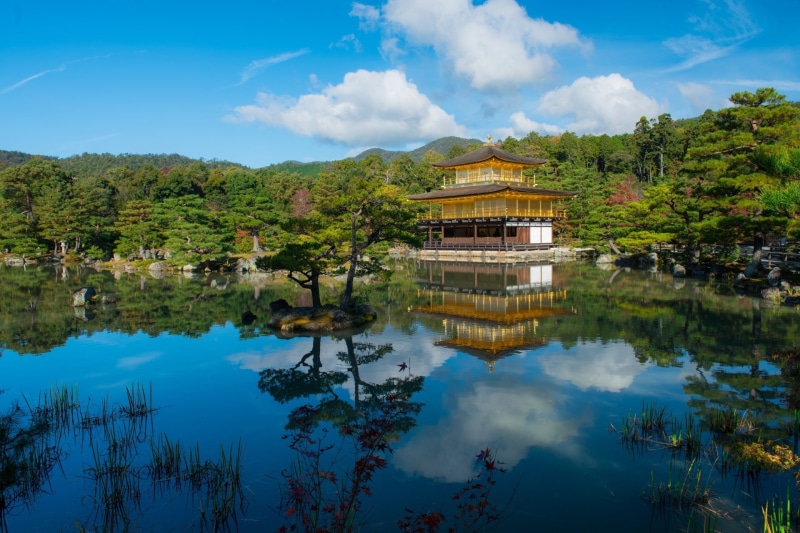 Kinkaku-ji, Japan, Religious, Temples, Golden Temple, 1080P, Buddhist Temple, Reflection, Kyoto