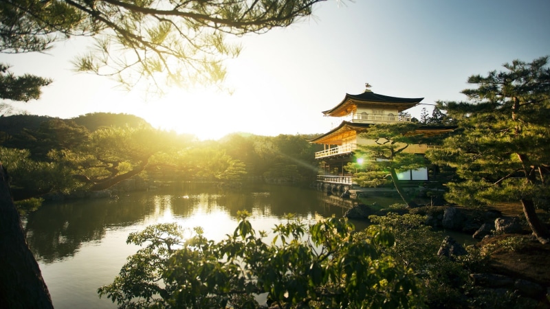 pagoda, plant, kinkakuji temple, water, golden pavilion, sunlight, leaf, buddhist temple, pond, 1080P, morning, buddhist, tourist attraction, buddhism