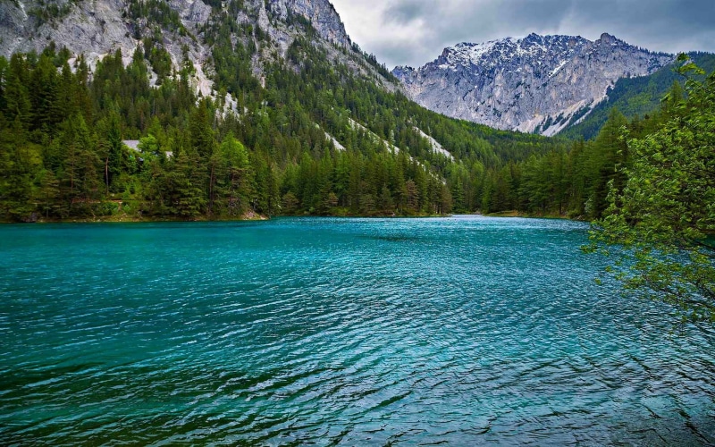 turquoise colored, lake, turquoise, pine tree, coniferous tree, mountain, no people, sky, scenics - nature, surrounded, land, Alps, tranquility, beauty in nature