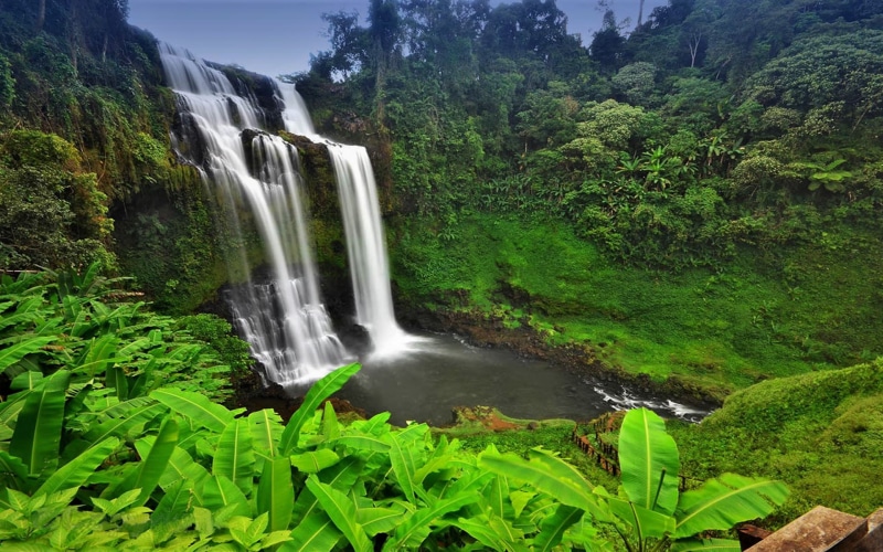 cambodia, tree, waterfall, rainforest, jungle, earth, 1080P