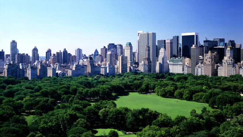 plant, office building exterior, green color, buildings, trees, no people, high, day, cityscape, park, built structure, tree, landscape, building, grass