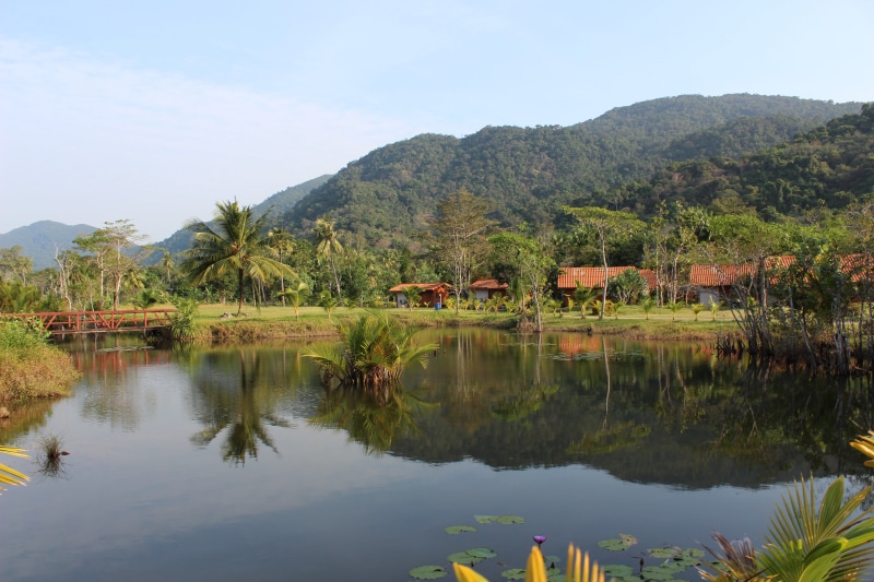 journey, idyllic, scenics - nature, tropical, tree, palm, island, near, outdoors, mountain, amazon, environment, wildlife, building, lagoon, view, rainforest